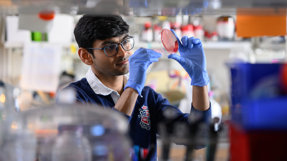 Ashutosh Kumar inspects a petri dish with reddish bacteria growing. He is in the lab and blurry equipment is in the foreground.