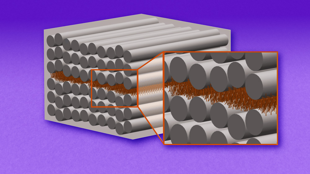 A diagram shows a box of rows of long silver tubes stacked on top of each other. Tiny brown objects representing carbon nanotubes are in between the layers. An inset enlarges the brown objects and they are an array of tree-like scaffolding. 
